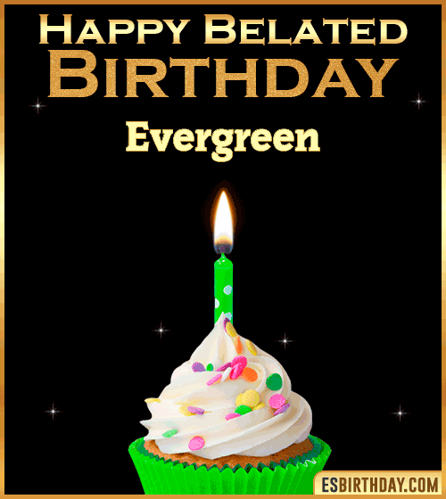Happy Belated Birthday gif Evergreen
