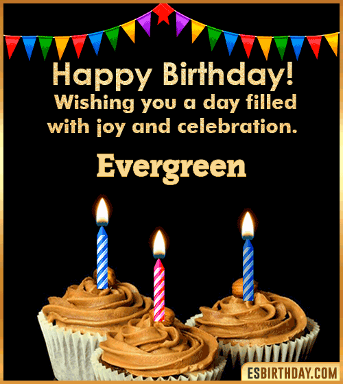 Happy Birthday Wishes Evergreen
