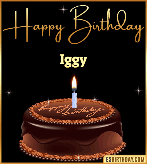 chocolate birthday cake Iggy
