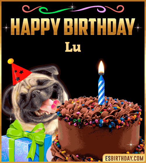 Gif Funny Happy Birthday Lu

