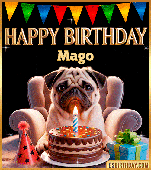Funny happy birthday GIF for Mago featuring a cute pug sitting on a chair with a chocolate cake, birthday hat, candle, and colorful decorations – perfect funny dog-themed birthday greeting