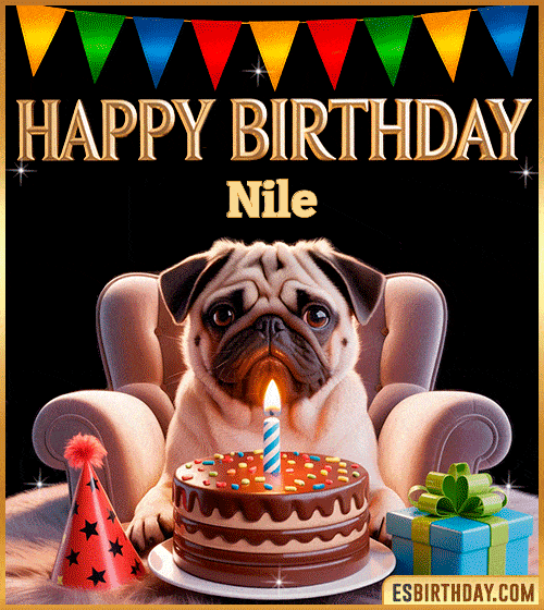 Funny happy birthday GIF for Nile featuring a cute pug sitting on a chair with a chocolate cake, birthday hat, candle, and colorful decorations – perfect funny dog-themed birthday greeting