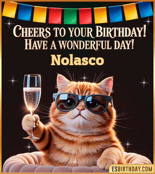Funny happy birthday GIF for Nolasco featuring a cool cat wearing sunglasses holding a champagne glass – personalized animated birthday greeting with a cheerful and classy vibe