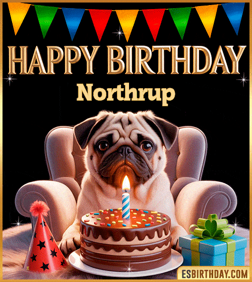 Funny happy birthday GIF for Northrup featuring a cute pug sitting on a chair with a chocolate cake, birthday hat, candle, and colorful decorations – perfect funny dog-themed birthday greeting
