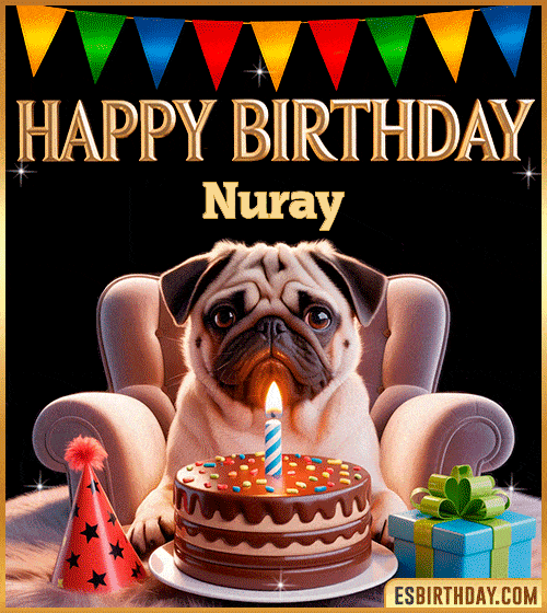 Funny happy birthday GIF for Nuray featuring a cute pug sitting on a chair with a chocolate cake, birthday hat, candle, and colorful decorations – perfect funny dog-themed birthday greeting