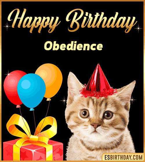 Happy Birthday gif Funny Obedience
