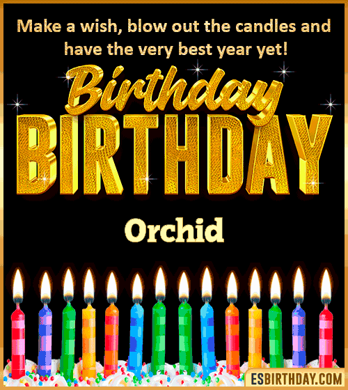 Happy Birthday Wishes Orchid

