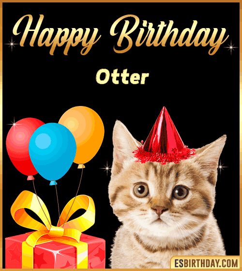Happy Birthday gif Funny Otter
