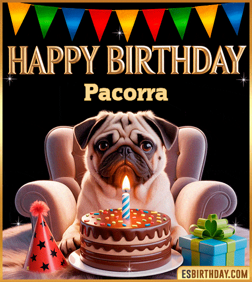 Funny happy birthday GIF for Pacorra featuring a cute pug sitting on a chair with a chocolate cake, birthday hat, candle, and colorful decorations – perfect funny dog-themed birthday greeting