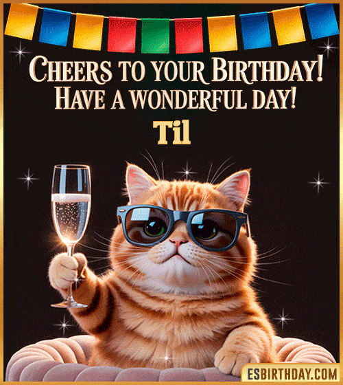 Funny happy birthday GIF for Til featuring a cool cat wearing sunglasses holding a champagne glass – personalized animated birthday greeting with a cheerful and classy vibe