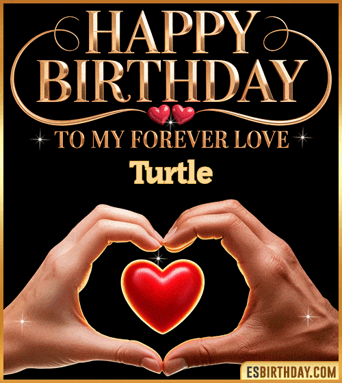 Romantic happy birthday GIF for Turtle with hands forming a heart around a glowing red heart – personalized animated birthday greeting to my forever love