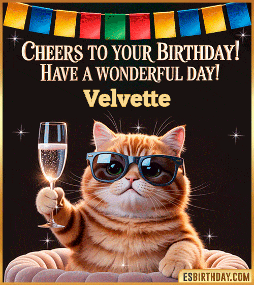 Funny Happy Birthday GIF – Cool Cat Toasting Animation for Velvette Funny happy birthday GIF for Velvette featuring a cool cat wearing sunglasses holding a champagne glass – personalized animated birthday greeting with a cheerful and classy vibe