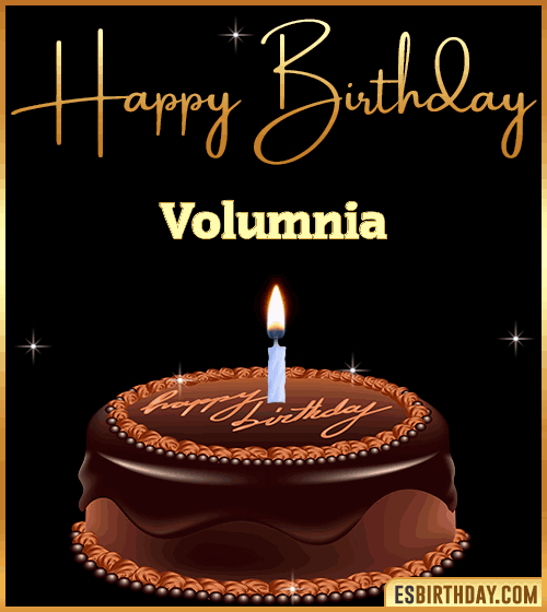 chocolate birthday cake Volumnia
