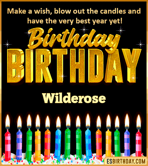 Happy Birthday Wishes Wilderose
