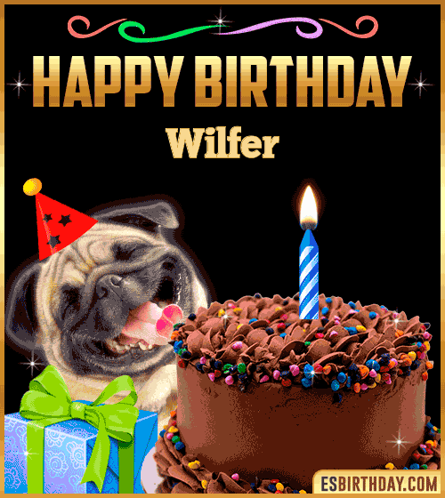 Gif Funny Happy Birthday Wilfer