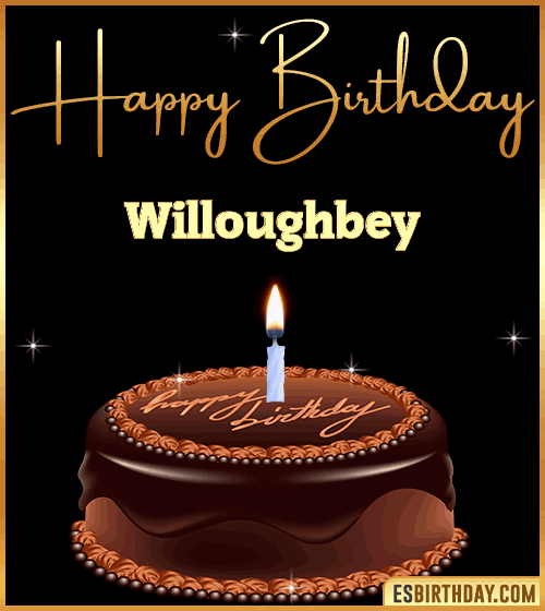 chocolate birthday cake Willoughbey
