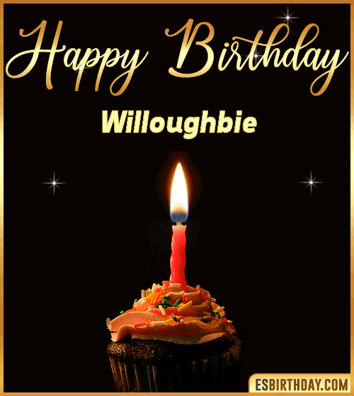 Birthday Cake with name gif Willoughbie
