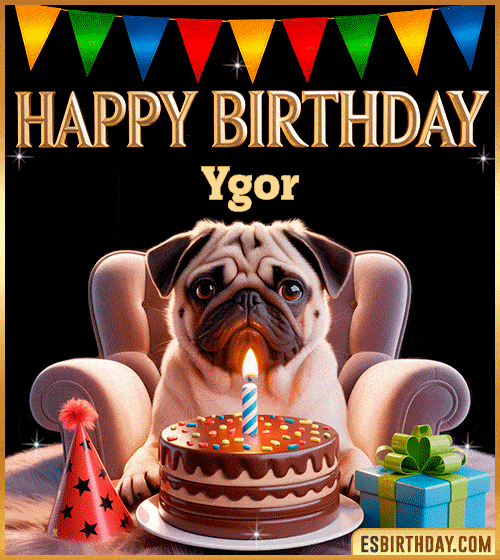 Funny happy birthday GIF for Ygor featuring a cute pug sitting on a chair with a chocolate cake, birthday hat, candle, and colorful decorations – perfect funny dog-themed birthday greeting